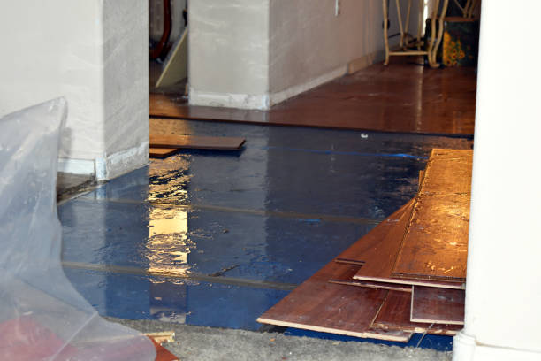 Professional Sewage Cleanup technician working in Russellville, AL